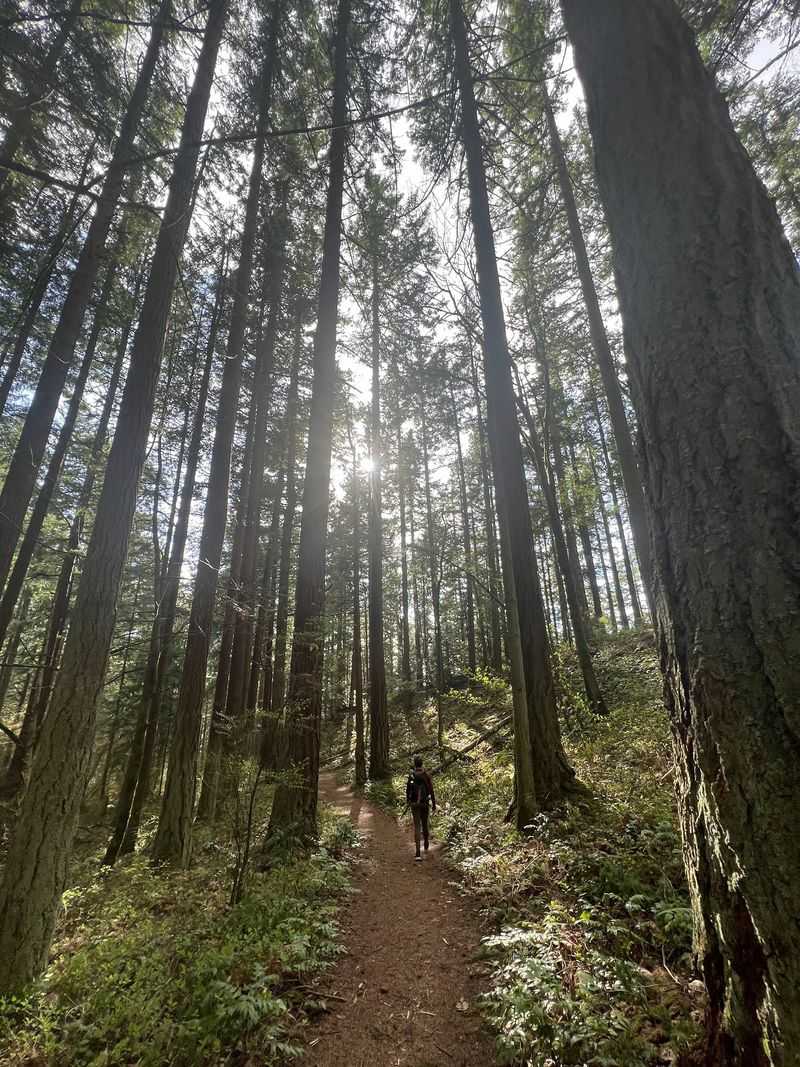 Miles Of Trails For Every Skill Level