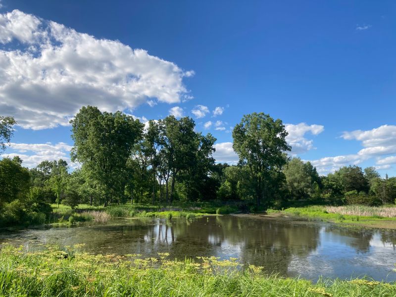 A Children's Garden That Makes Learning Fun