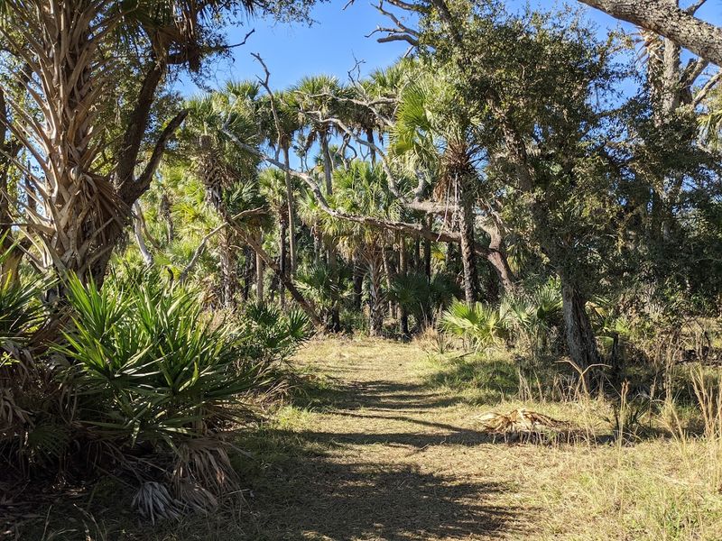 Miles of Hiking Through Varied Terrain