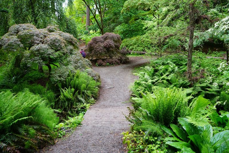 Miles of Trails That Twist and Connect
