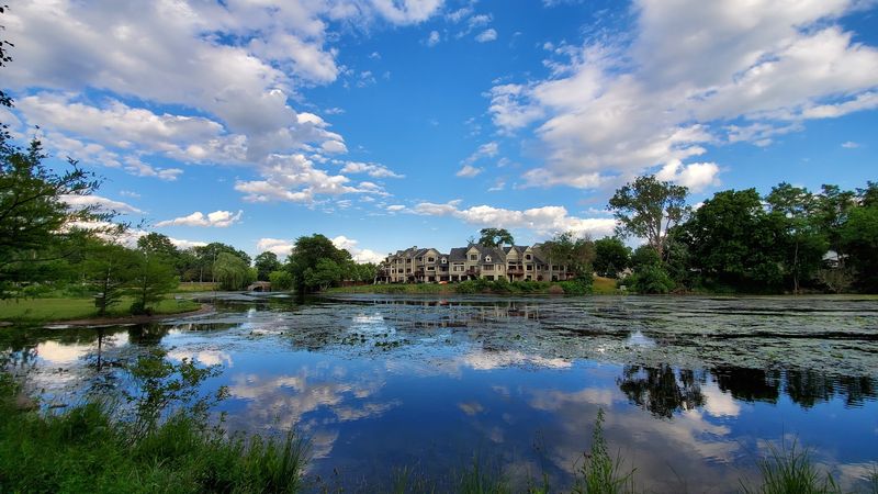 Mill Pond, Quiet Choreography