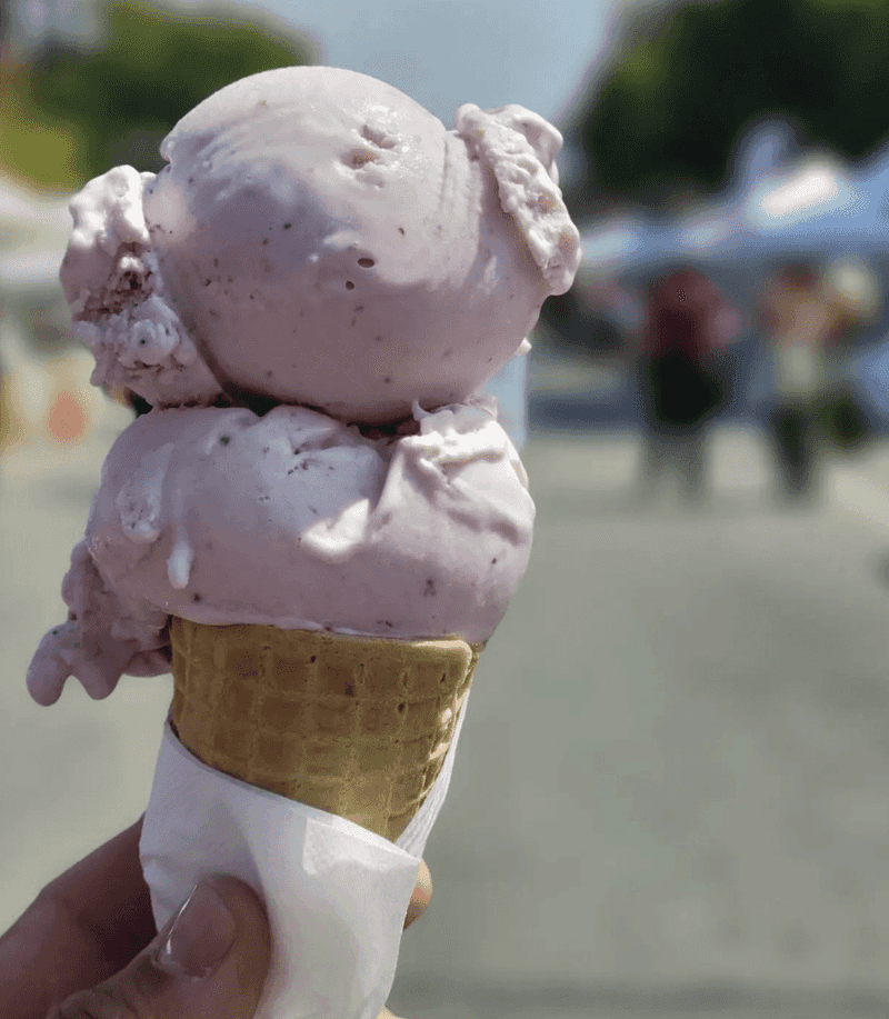 Black Dog Gelato – Illinois