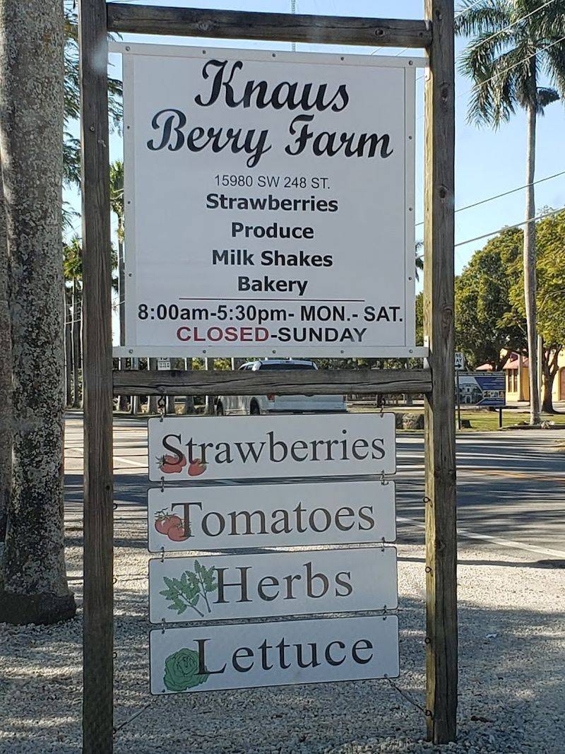Milkshakes And Frozen Treats That Complete The Visit