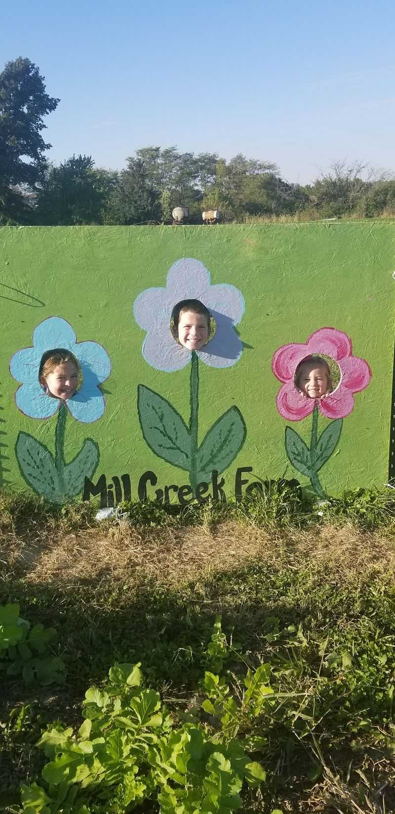 Mill Creek Farm (Quincy)