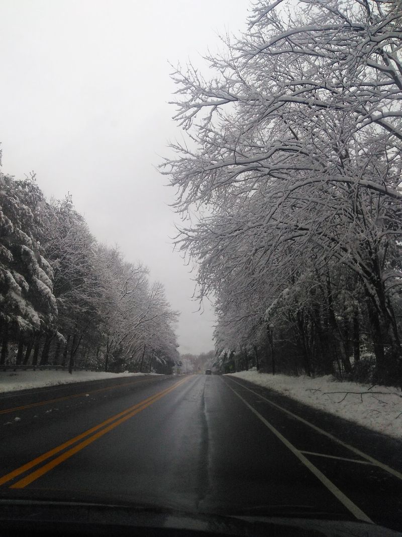 Miller-Anderson Woods offers a wooded bluff near Route 29