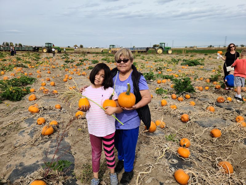 Miller Farms, Platteville, CO