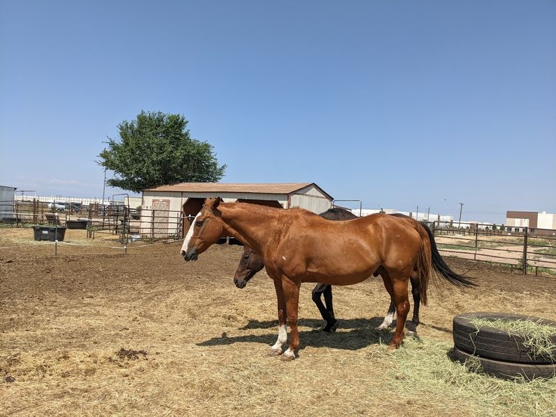 The Urban Farm - Denver, Colorado