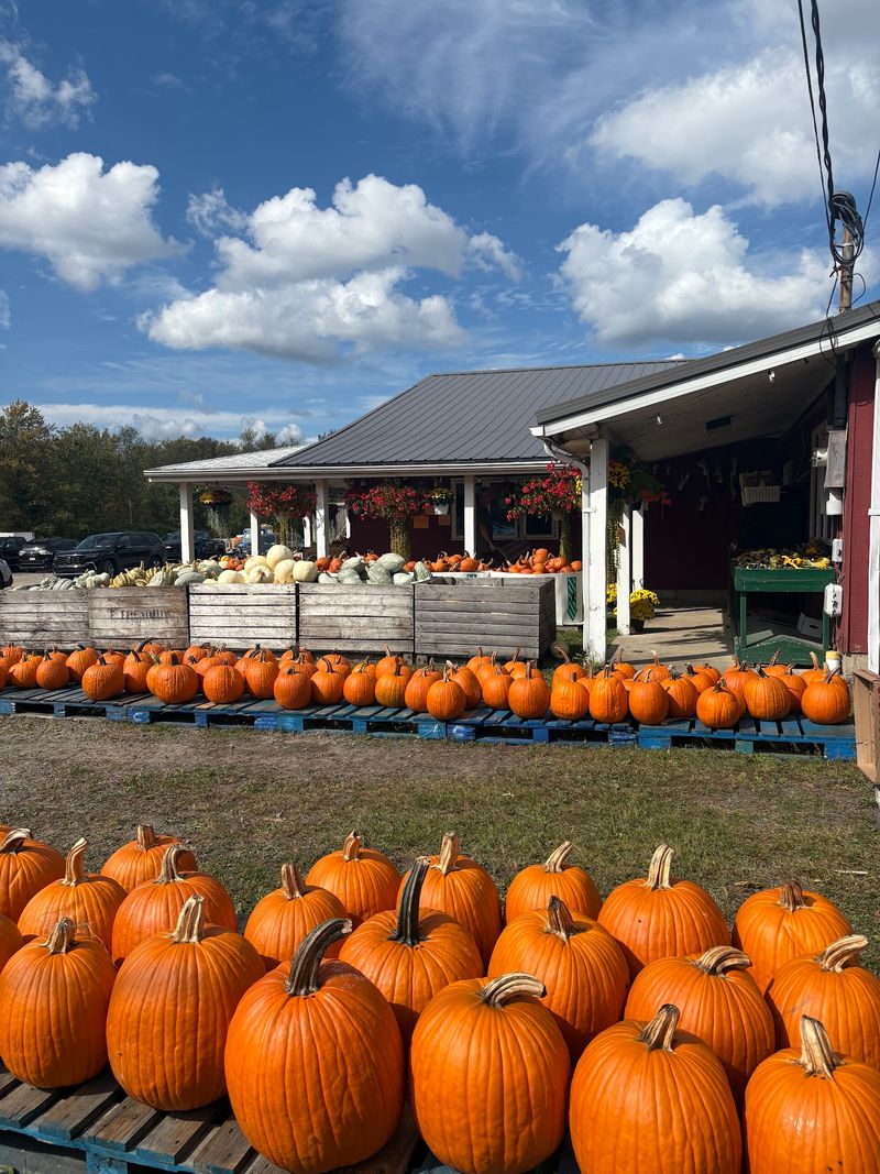 Miller's Orchards Farm Market, Clarks Summit Miller's Orchards Farm Market, Clarks Summit