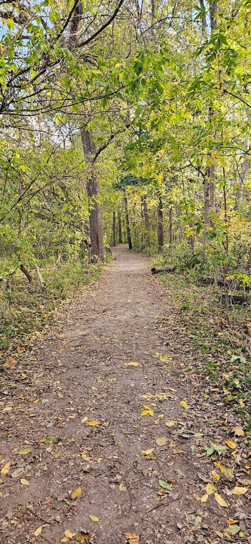 Scenic River Trail at Highbanks Metro Park, Lewis Center, OH