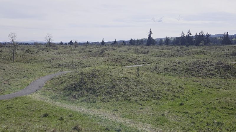 Mima Mounds Natural Area Preserve, Olympia, WA
