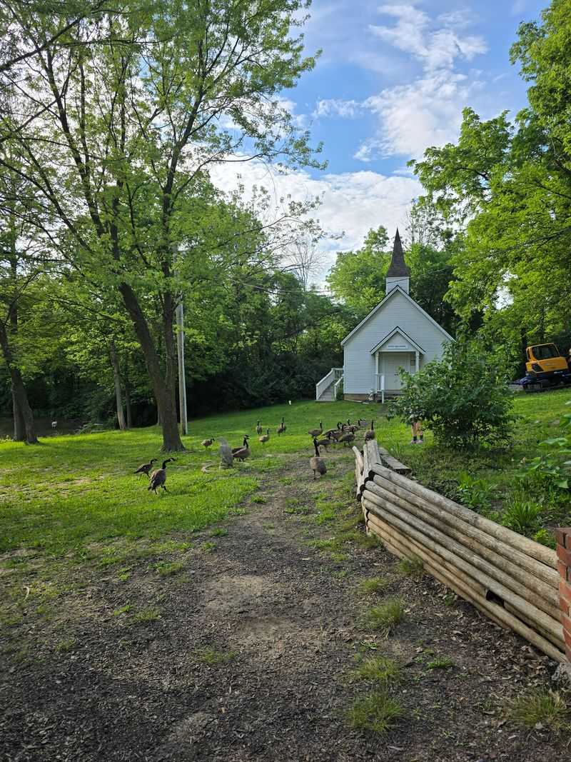 Walk The Grounds Between Courses