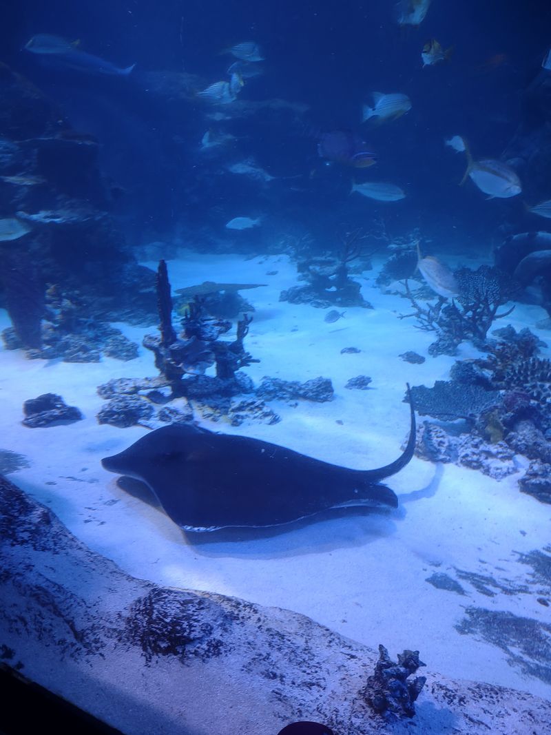 Stay For The Slow Scenes