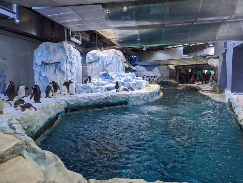 Exit Through Curiosity, Not The Gift Shop