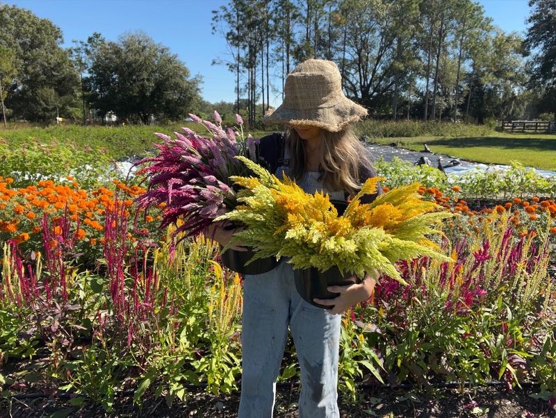 Mindful Blooms Farm, Myakka City