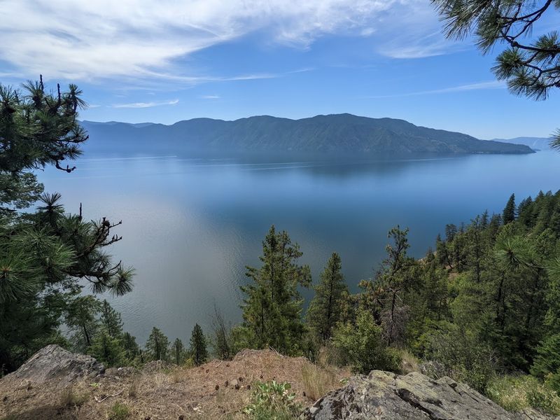Mineral Point Trail #82, Near Sagle