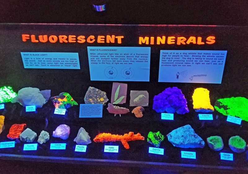 Minerals And Gems That Catch The Light