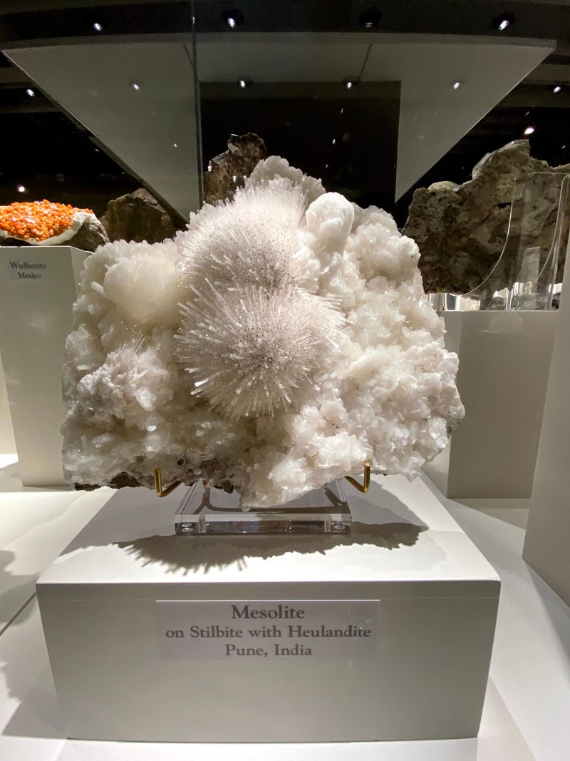 Fossils And Time Travel Moments