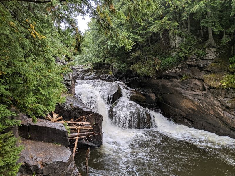 Sturgeon Falls Trail, Nisula