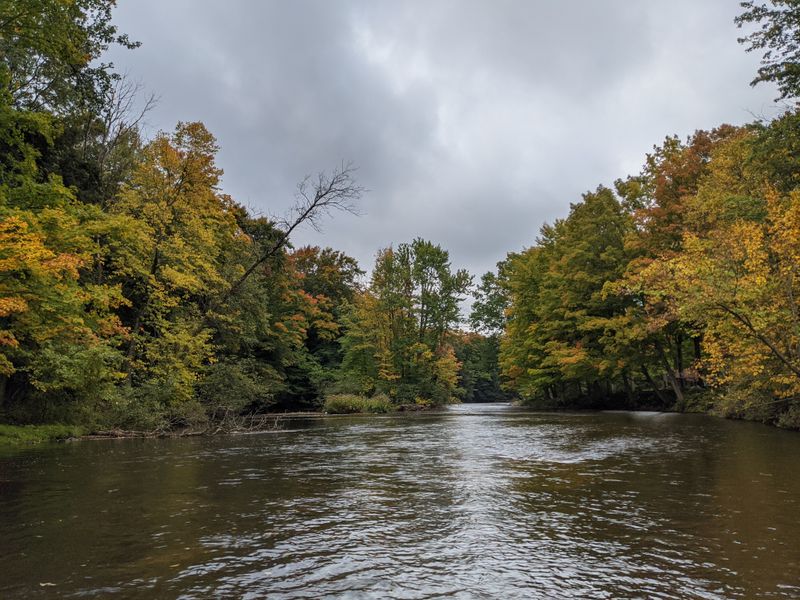 Wakeley Lake (Huron–Manistee National Forests, LP)