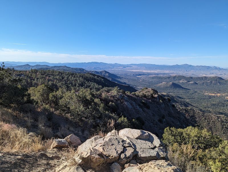 Mingus Mountain Area, Prescott National Forest, Arizona