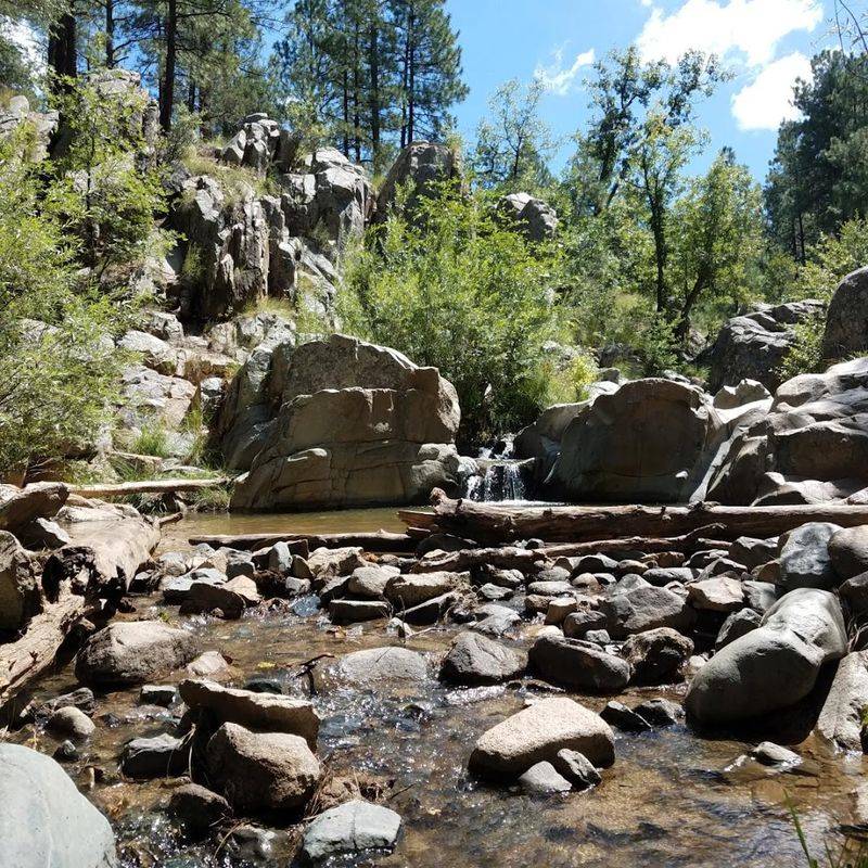 Lower Wolf Creek Campground, Prescott National Forest