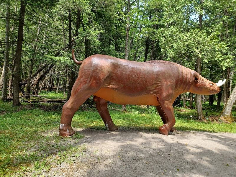 Gem Sluice And Fossil Dig