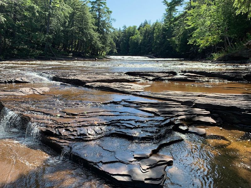 Union Bay Shoreline Habits