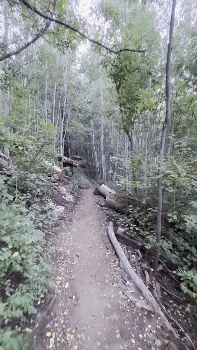 Mint Springs Trailhead, Summerhaven / Mount Lemmon