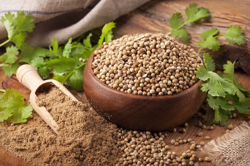 Coriander: Manna's Twin