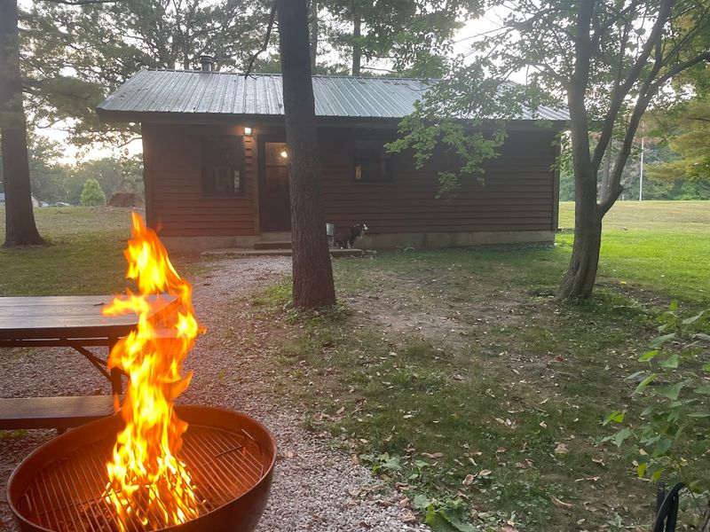 Dog-Friendly Cabins (In Select Units)