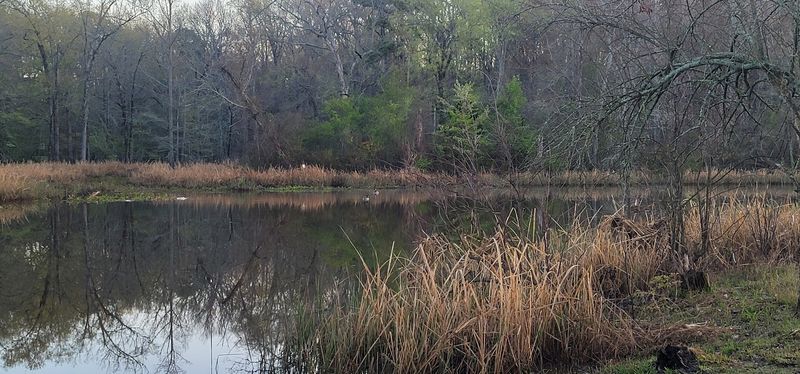 Mirrorlike Water Doubles Every View Mirrorlike Water Doubles Every View