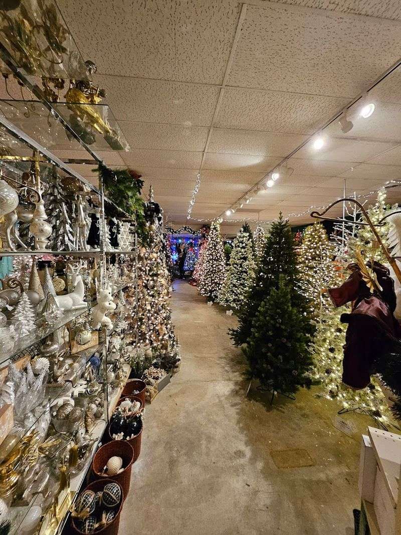 Mirrors, Lights, And Wonder Mirrors, Lights, And Wonder