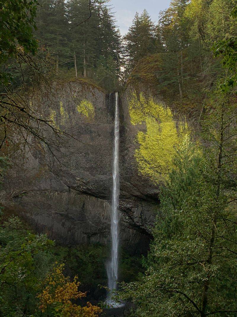 Latourell Falls Loop - Columbia River Gorge, near Corbett