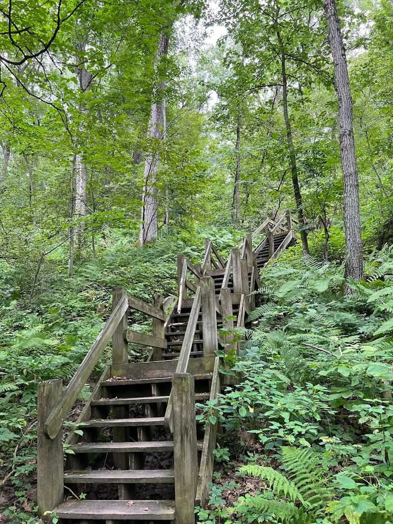 Mississippi Palisades State Park, Savanna Mississippi Palisades State Park, Savanna