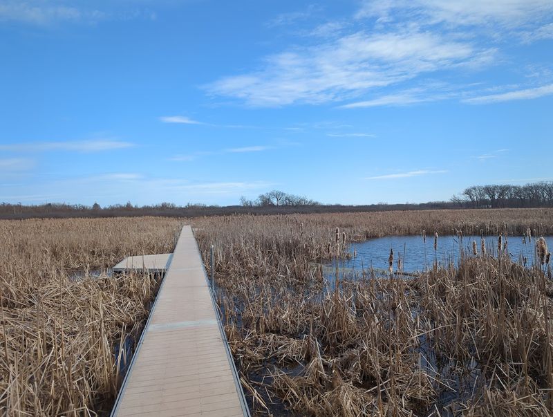 Volo Bog State Natural Area, Ingleside, Illinois