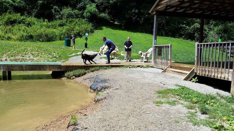 Misty Pines Pet Company And Dog Park, Sewickley, Pennsylvania Misty Pines Pet Company And Dog Park, Sewickley, Pennsylvania