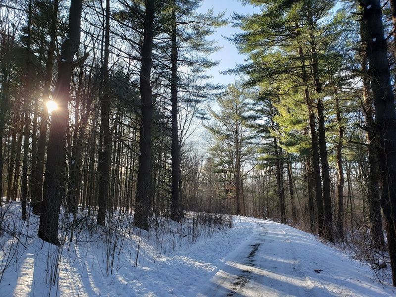Island Lake Recreation Area Lantern Hike, Brighton