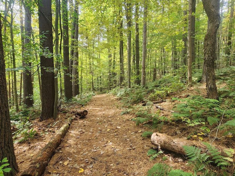 Mohican State Park, Ashland County