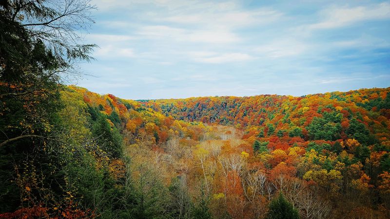 Mohican State Park, Loudonville