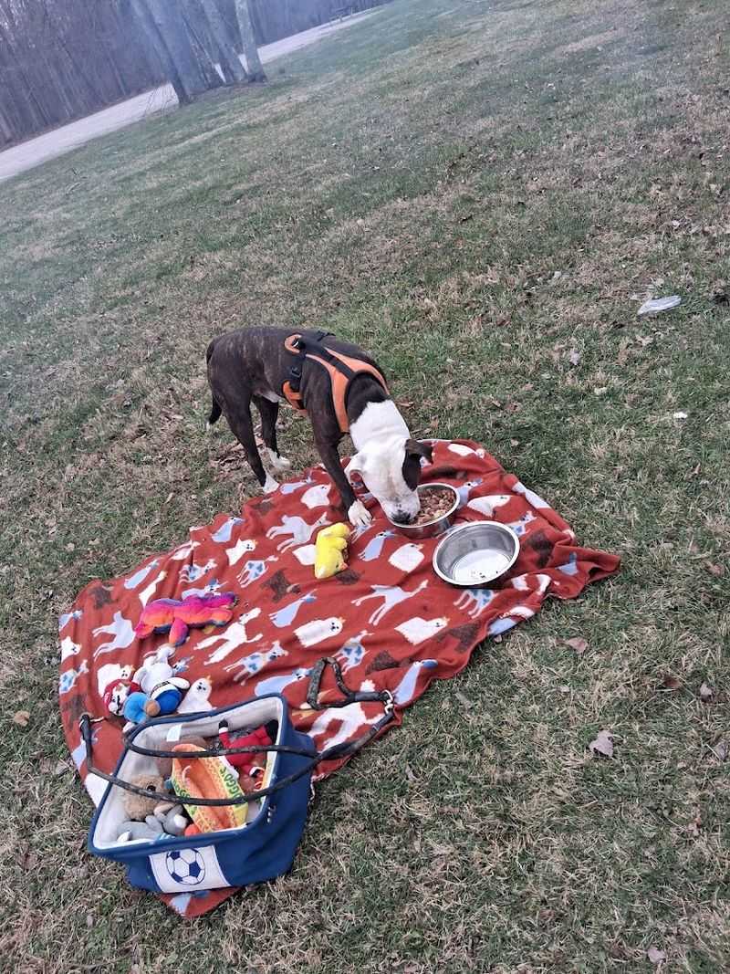 Malabar Farm State Park, Lucas, Ohio