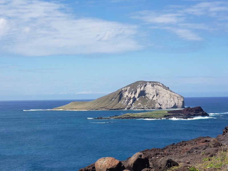 Mānana (Rabbit Island) – A Sanctuary Best Enjoyed From Shore