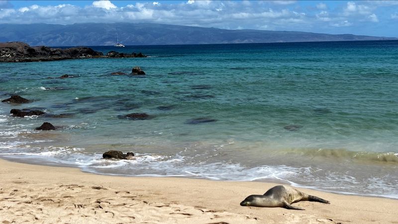 Mokuleia Bay Beach Mokuleia Bay Beach