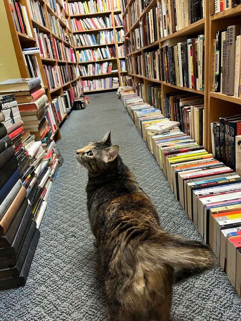 The Last Word Bookshop, Lewisburg, Pennsylvania
