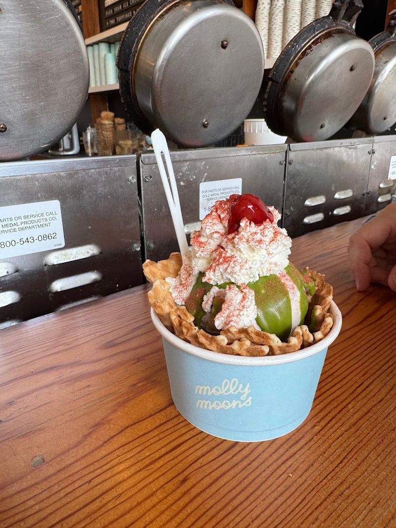 Molly Moon's Homemade Ice Cream