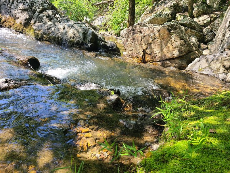 Textures And Colors That Feel Unreal