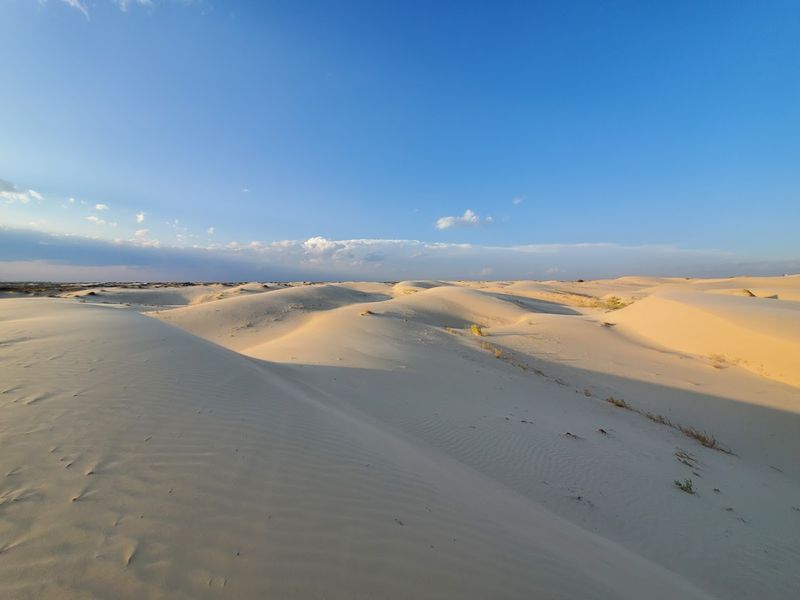 Monahans Sandhills State Park Monahans Sandhills State Park