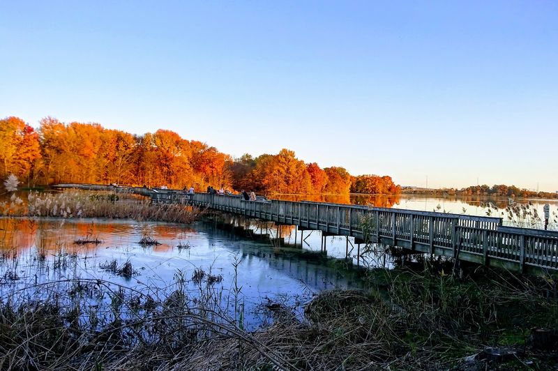 Trails Range From Easy Boardwalks To Multi-Mile Loops