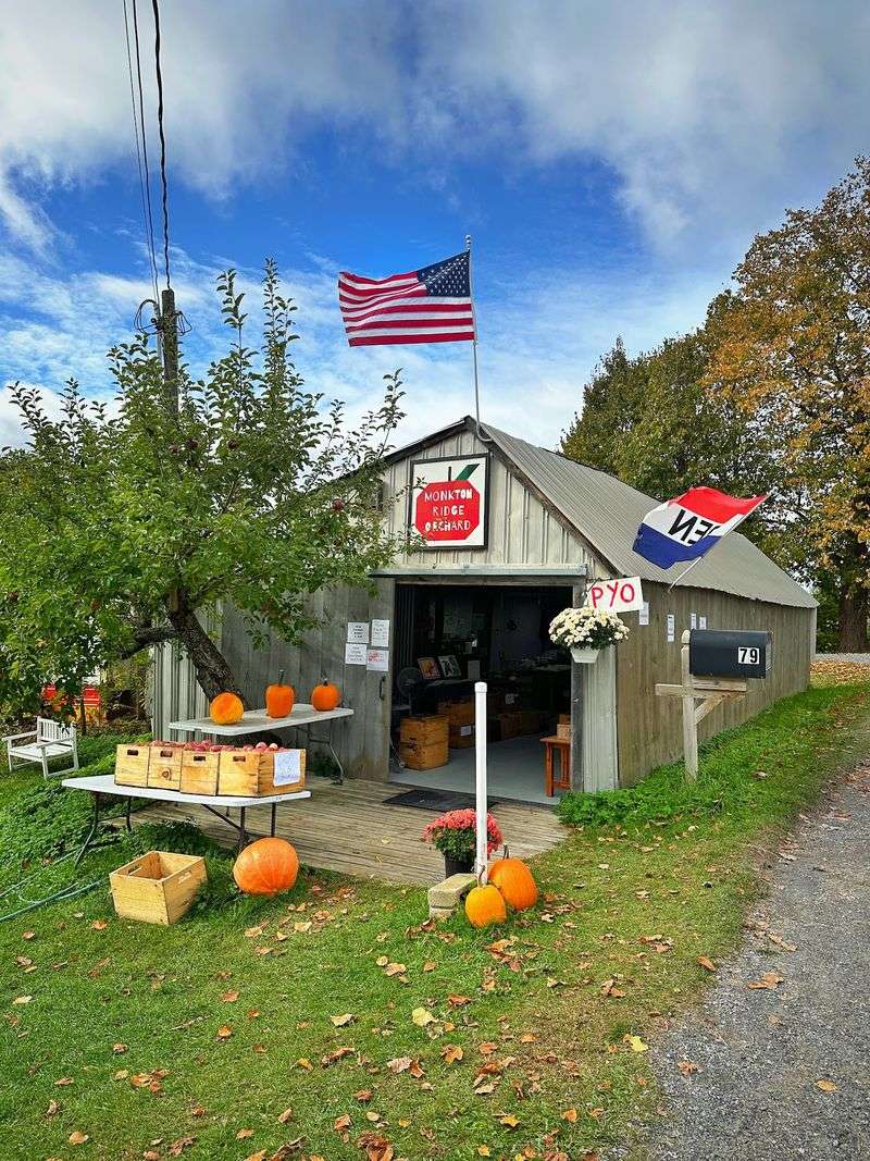 Monkton Ridge Orchard