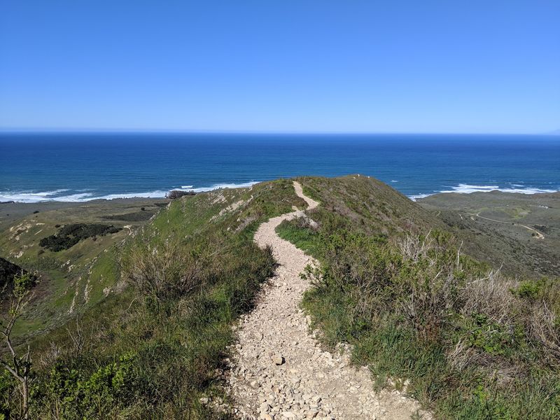 Montaña de Oro State Park Montaña de Oro State Park