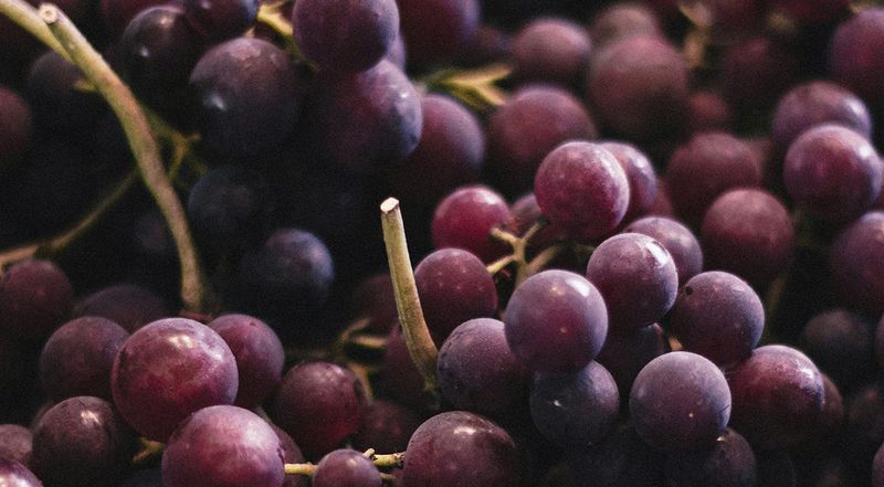 Napa Grape Leather